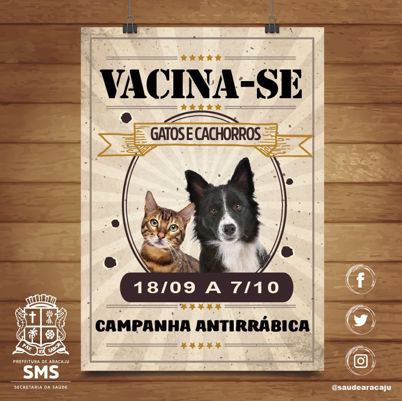 Arte: Ascom/SMS