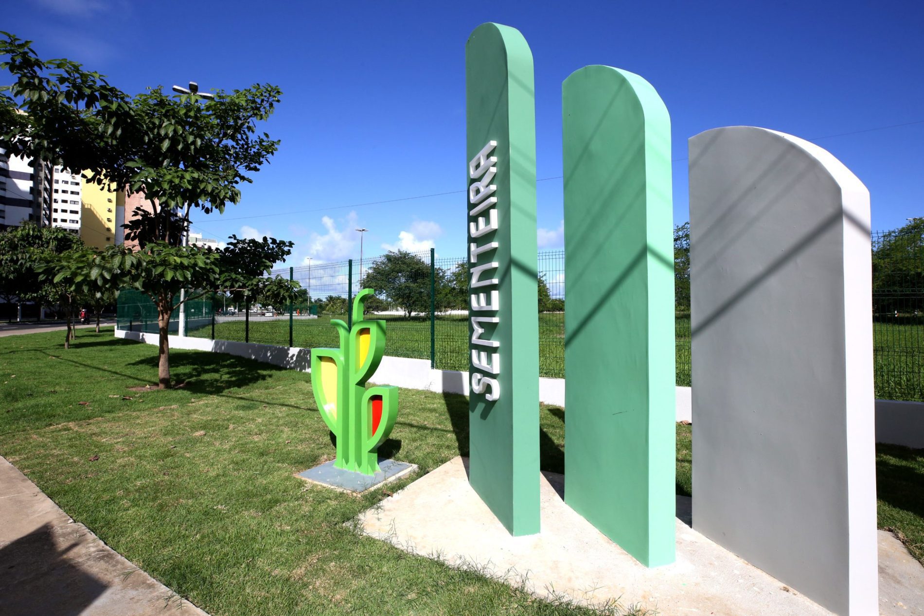 sementeira_foto_andre_moreira_5